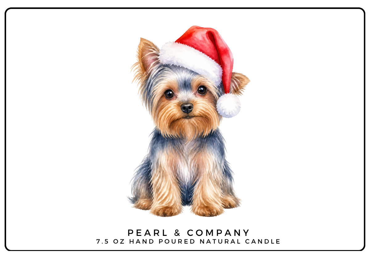 Yorkie