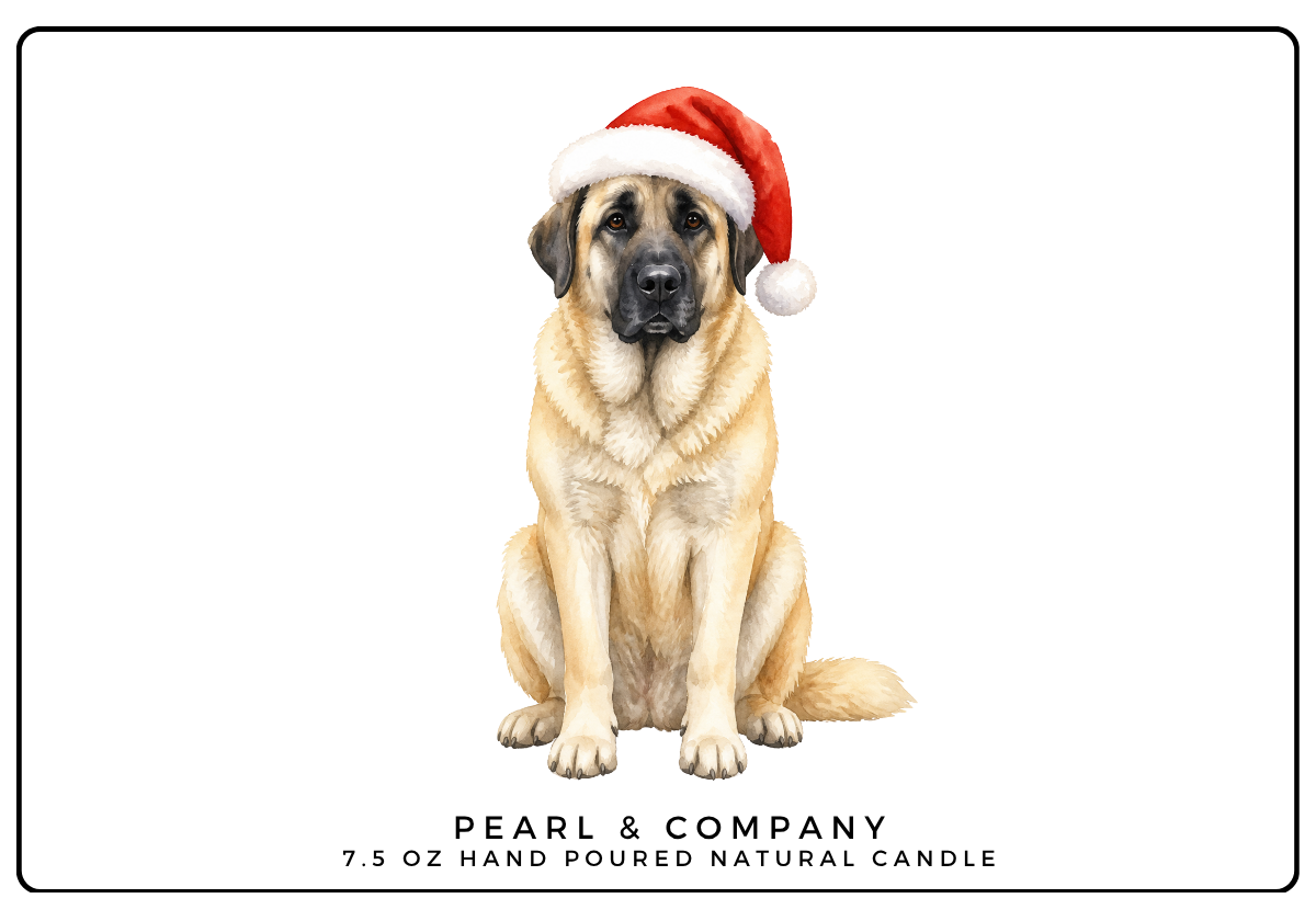Anatolian Shepherd