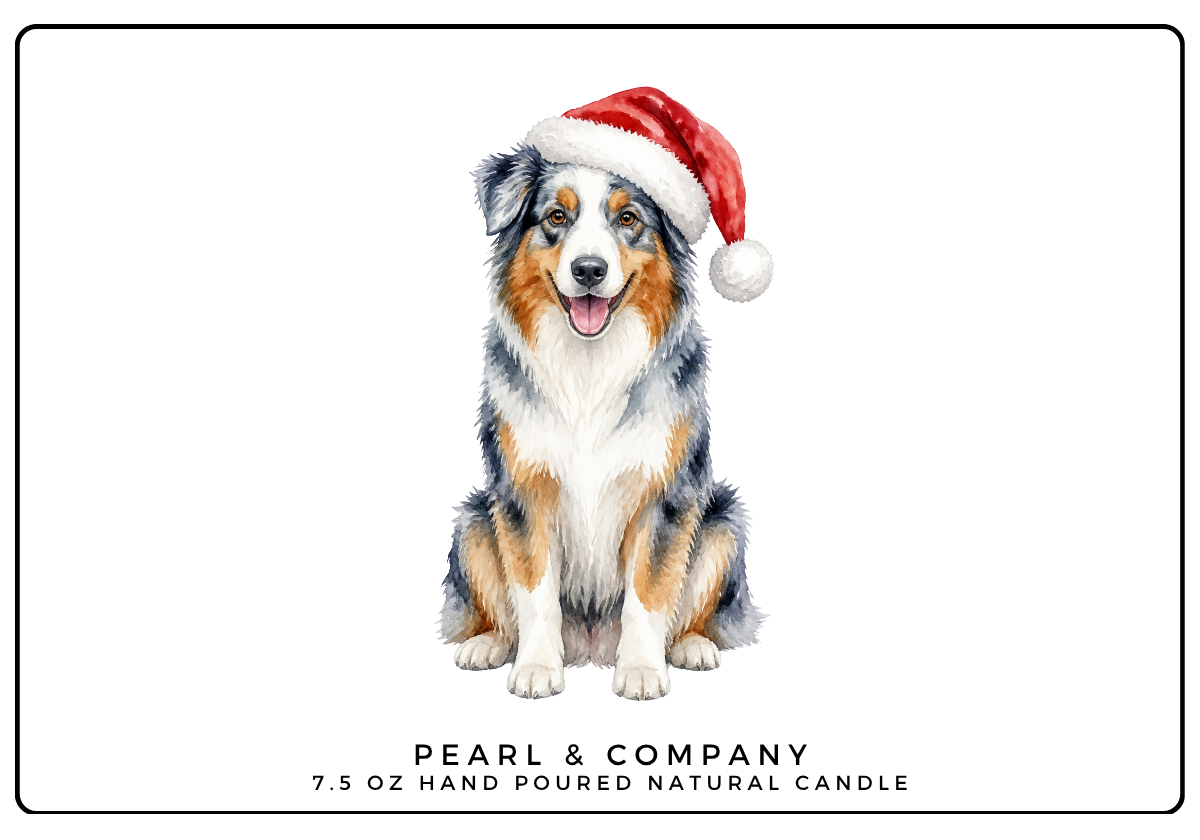 Australian Shepherd