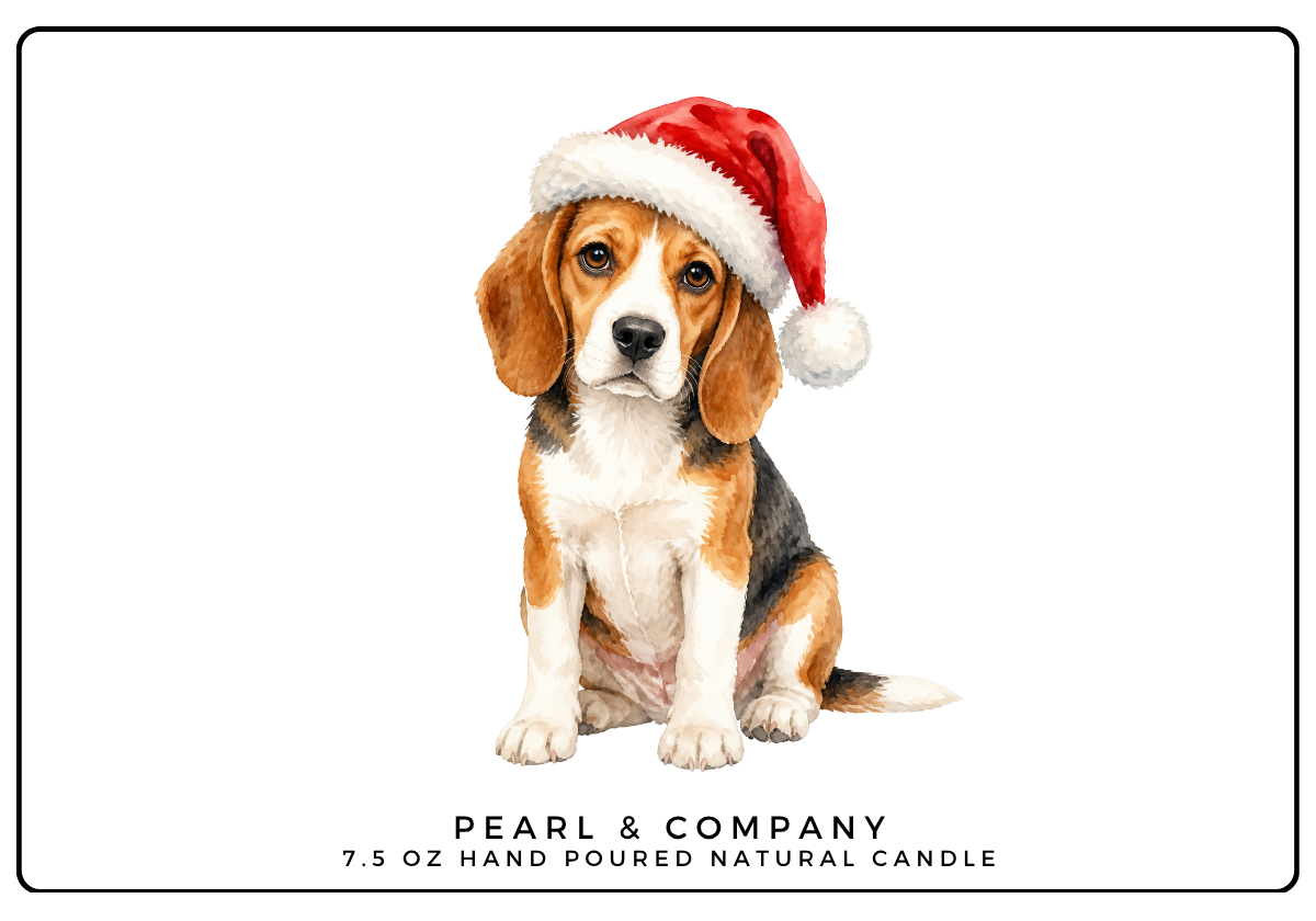 Beagle