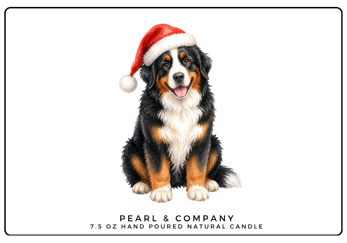 Bernese Mountain Dog