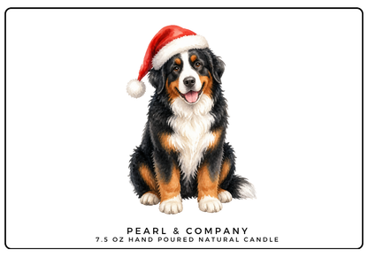 Bernese Mountain Dog