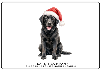 Black Lab