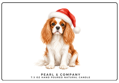 Cavalier King Charles