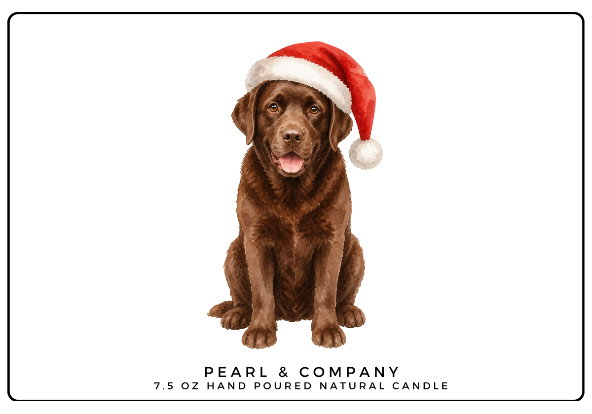 Chocolate Lab