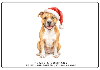Pit Bull