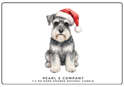 Schnauzer