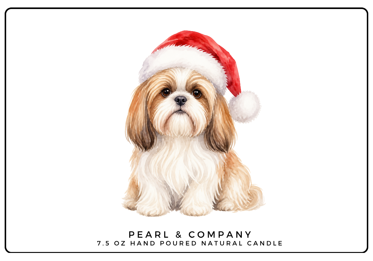 Shih Tzu