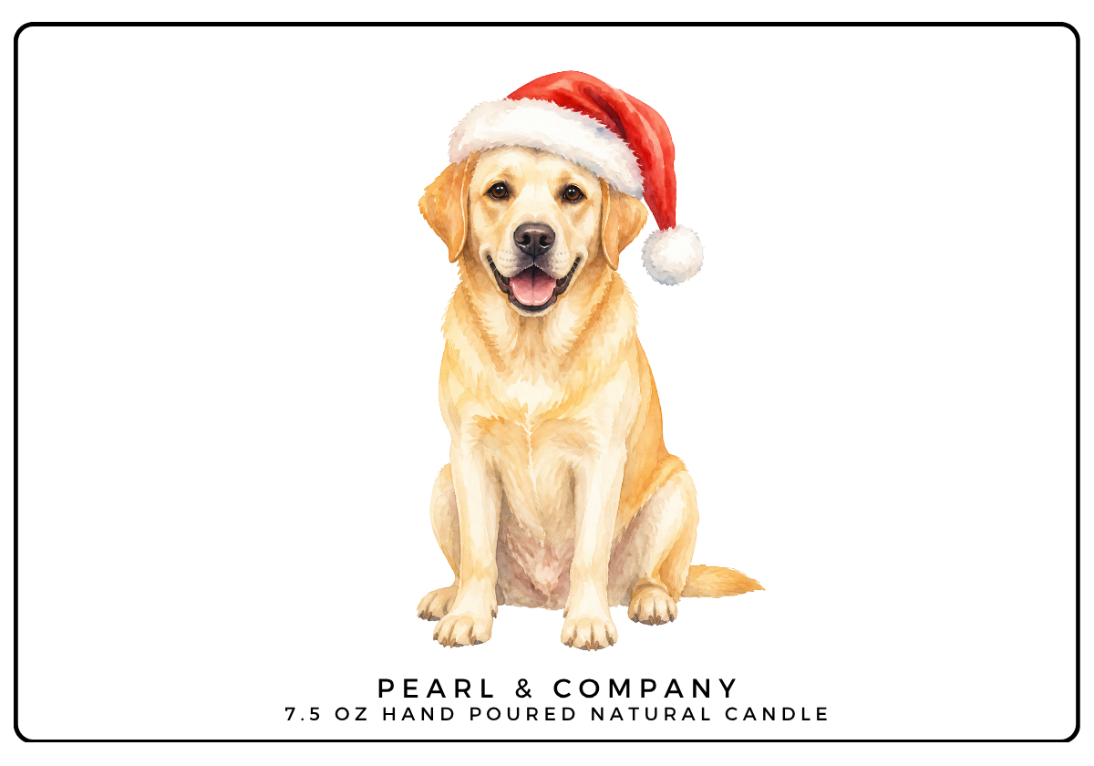 Yellow Lab