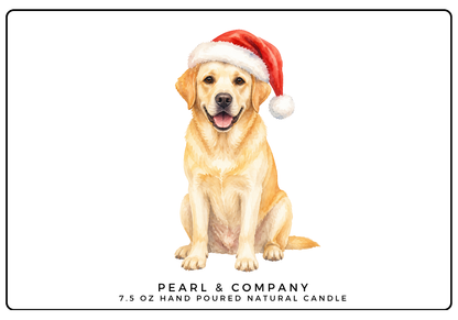 Yellow Lab