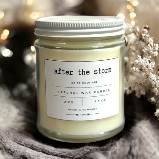 After The Storm – Crisp Cool Air Candle