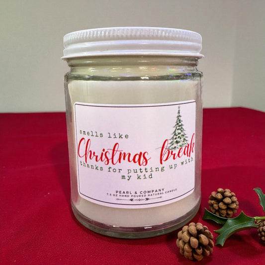 Christmas Break..Thanks for putting up with my kid.